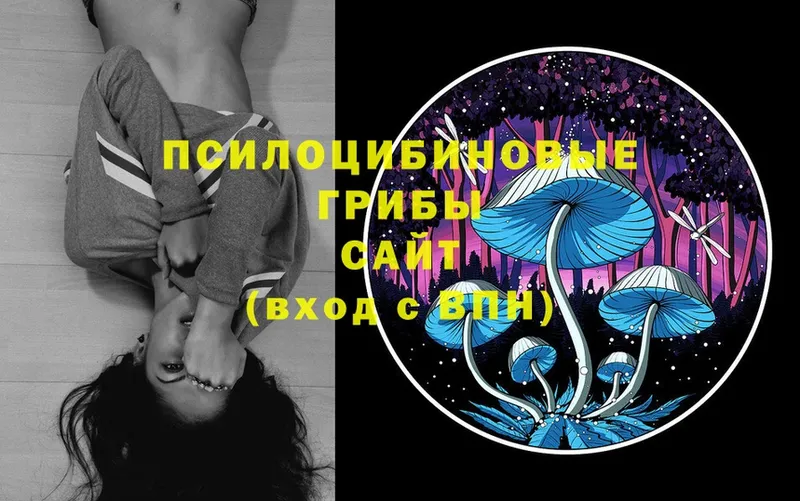 что такое наркотик  мега сайт  Галлюциногенные грибы MAGIC MUSHROOMS  Белая Калитва 